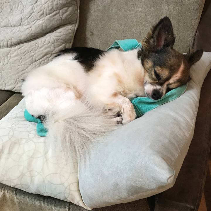 A7cd1271 4824 4802 946d b7cd0e520382