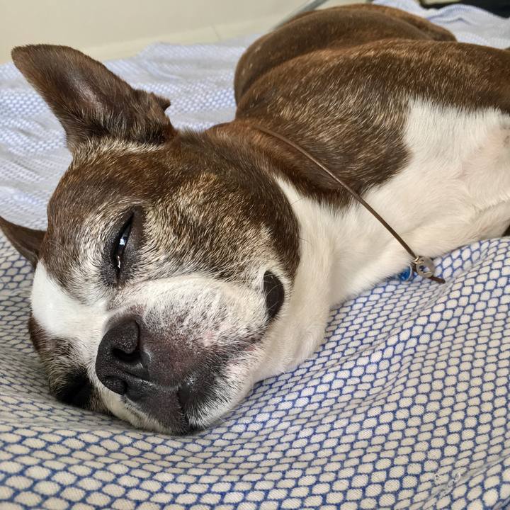 A7cd36c1 9ae5 4ec1 b5bb 8f97675e9826