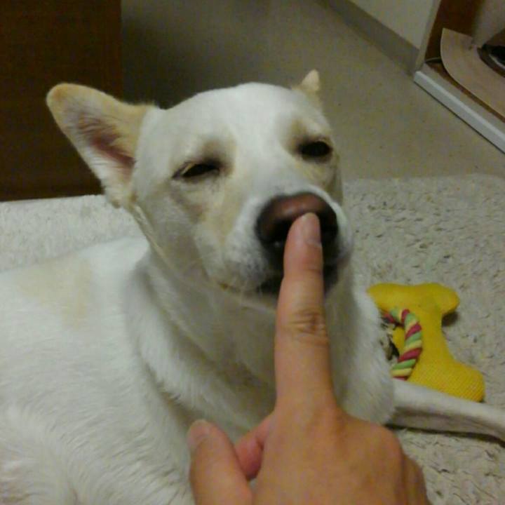 A7ce4453 51ed 42dd 8f43 6d5f27da7112