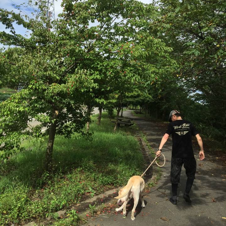 A7ceaa3a a00c 4580 85e3 1dd14073cc8b