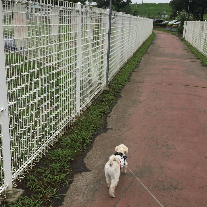 A7cef329 5586 4a0d a860 eab8d30947ee