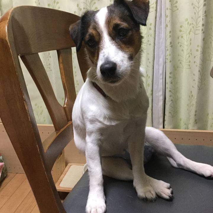 A7cf2af6 9148 4796 8d11 09c57f5e4dd5