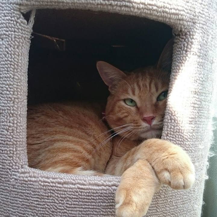 A7cf828e 7b8f 4f2b 8be1 a75202ecf01d