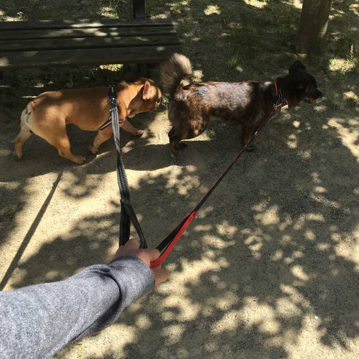 A7cfcae5 1b0b 403e 9725 76bd14a51713