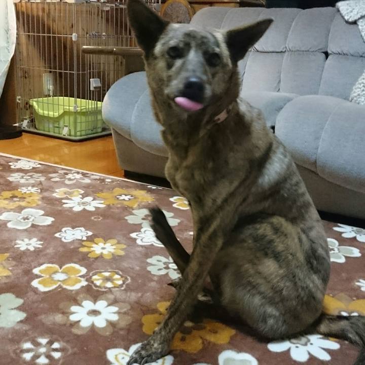 A7d000b1 e948 4bbd b391 f0bb8b5d3f91