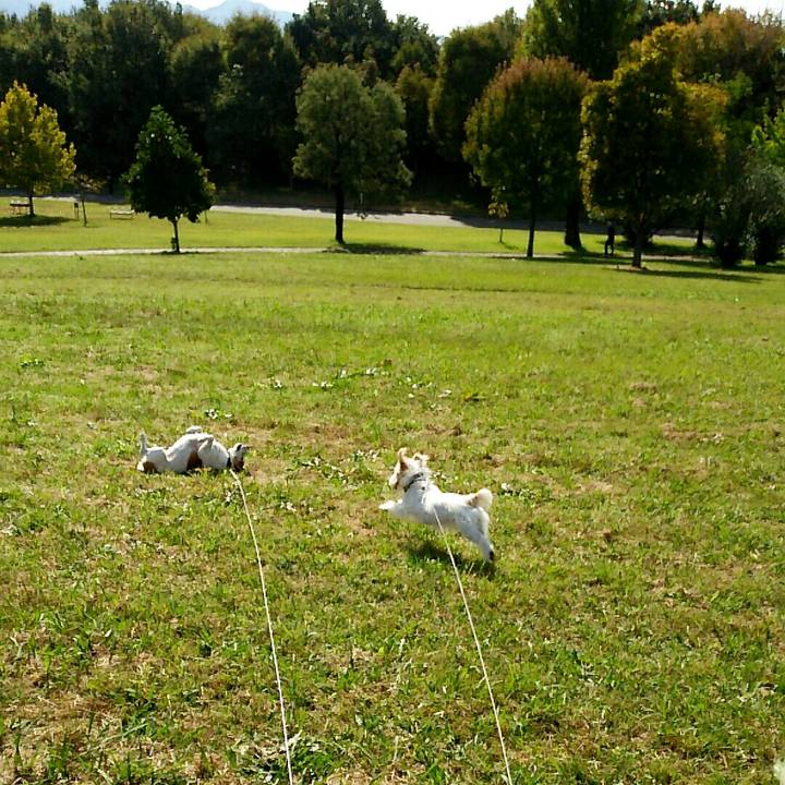 A7d059a0 57e2 4241 860c 916928fabffe