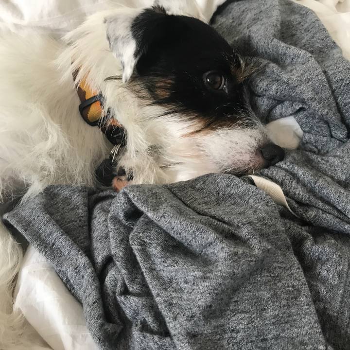 A7d0a90b 29a9 4784 b657 d7d179d75f15