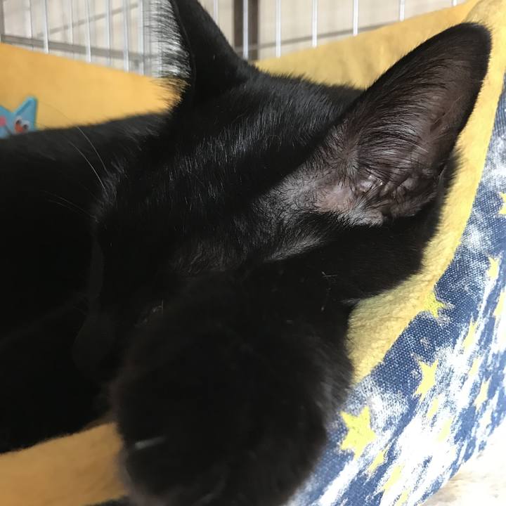 A7d0e9c3 f948 4f39 8188 bed0861160c4