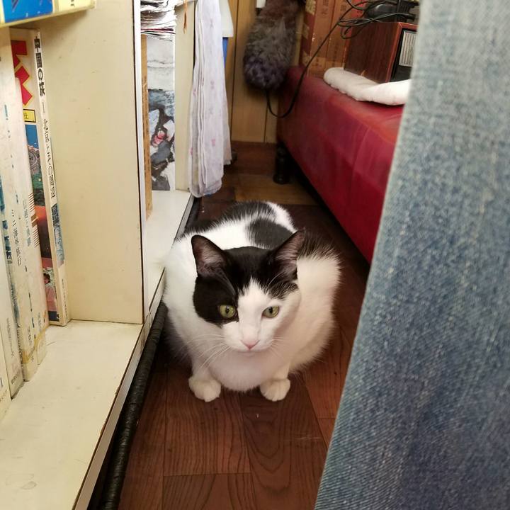 A7d1b351 e2f0 4a68 8e49 fe544ea89f61