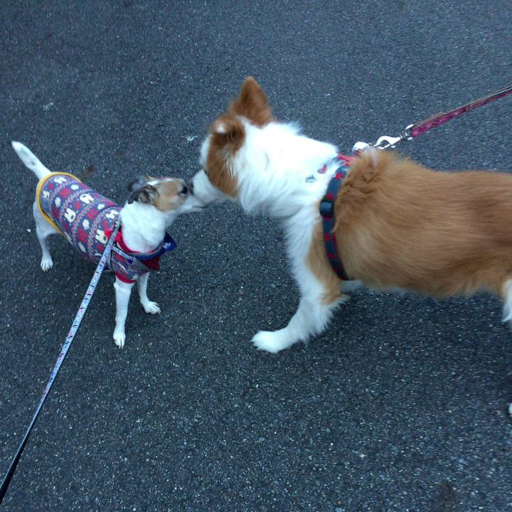 A7d1fd34 4485 48a7 a922 01846b770ded