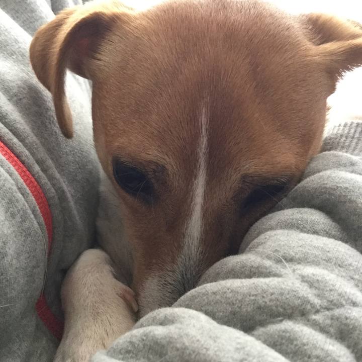 A7d23aed 73b9 44cf a241 d06cc3cfc512