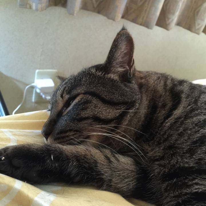 A7d2480d bc8c 41cc 9e9c 40aaadfc7744