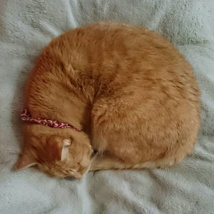 A7d27b9b c75f 408f ad8f 6fd6e756f93e