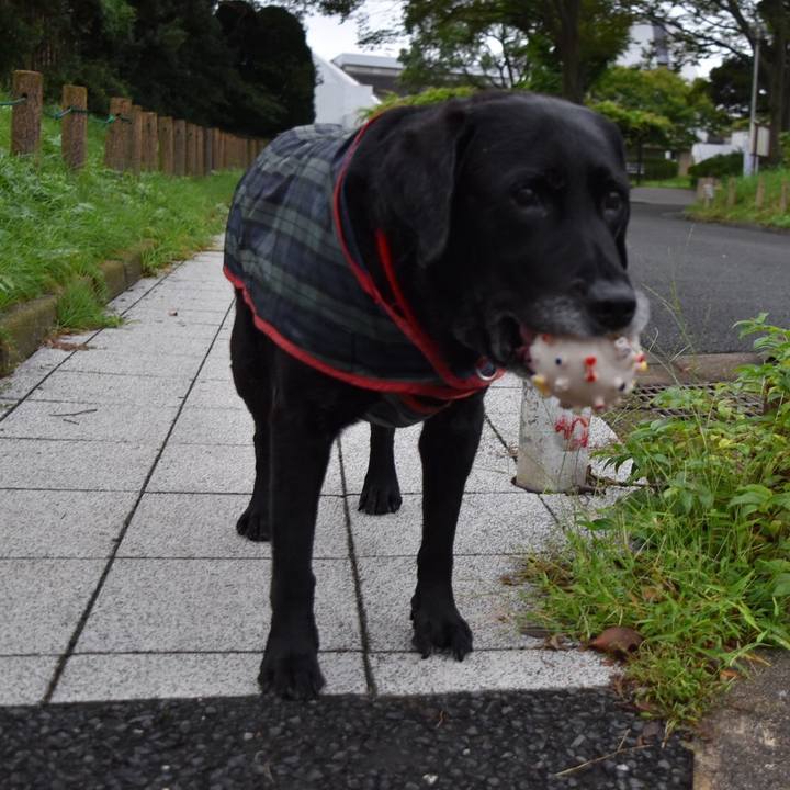 A7d2d99a 4a2a 4116 8d24 622c2879e5ea