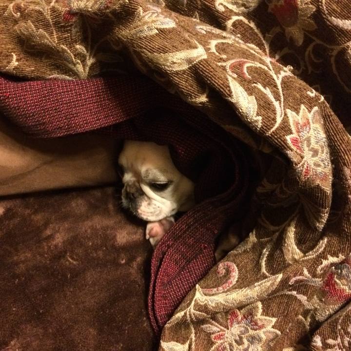 A7d2e3e6 7d91 494b 98ac 0de0a227d600