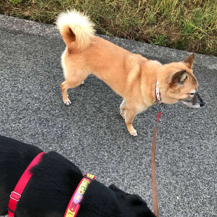 A7d35d1e 833d 4e83 8b81 687ebbe9999b