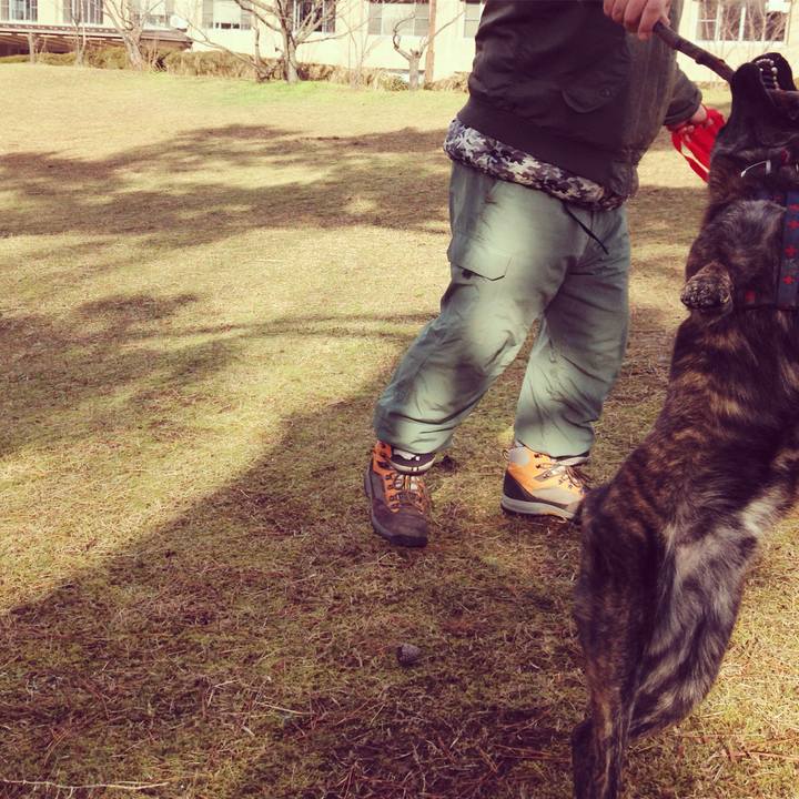 A7d4665f 0599 46e0 99cc 49c28f719af0