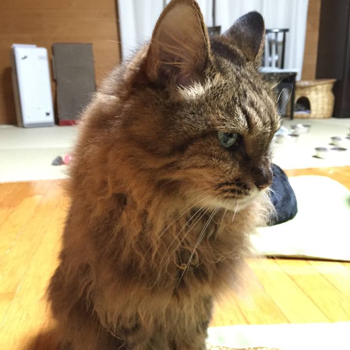 A7d486ae b4ee 4c8e 8b81 6268066136bc