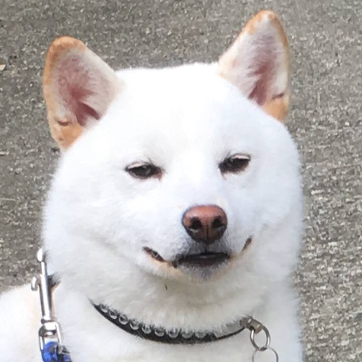 A7d48d36 7164 444a 9411 9108ed5ad3f0