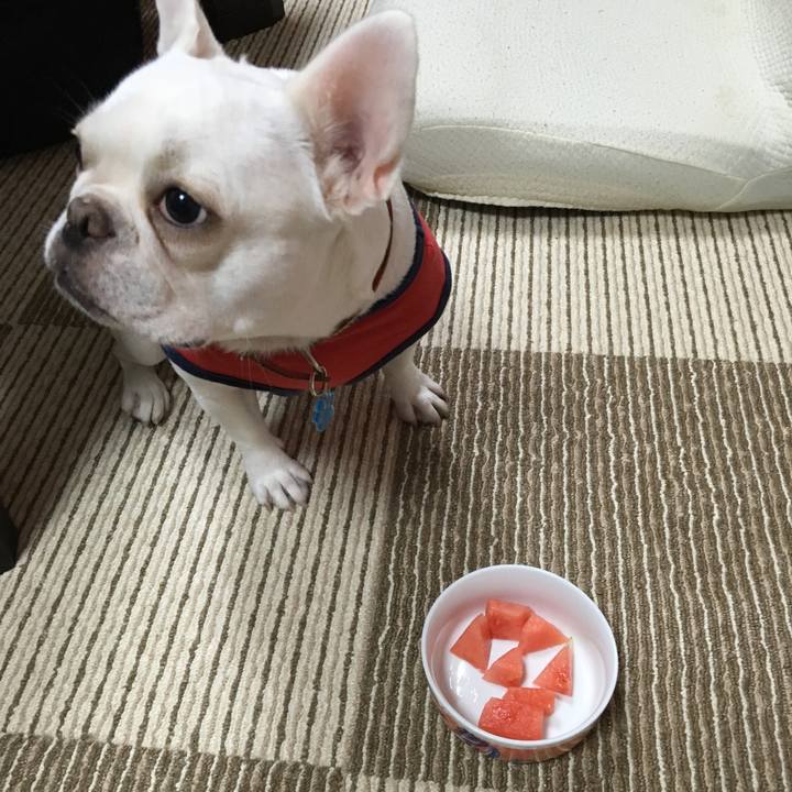 A7d4be43 6ff6 4f22 8bb5 c38524645df6