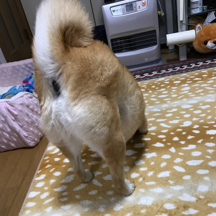 A7d61a5e 71cb 4c92 bbe7 9c1a942376e6