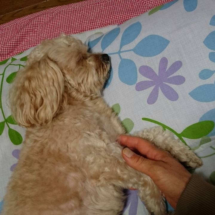 A7d674ae f1fb 43f3 b94c 9c84bcf8b0e5