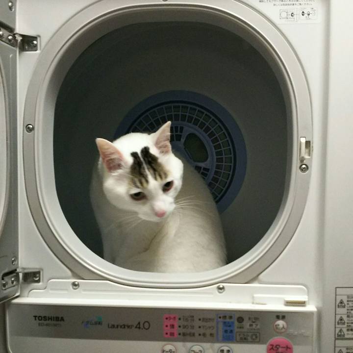 A7d6c0a4 07cc 43ec 8dcd f4f03e5a9803