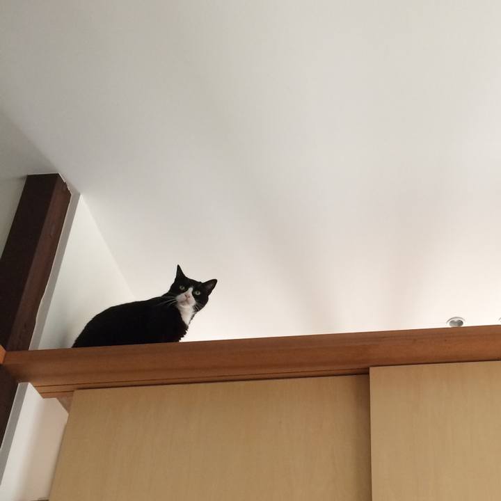 A7d8bea0 444b 4689 b86f f6ea45a74c67