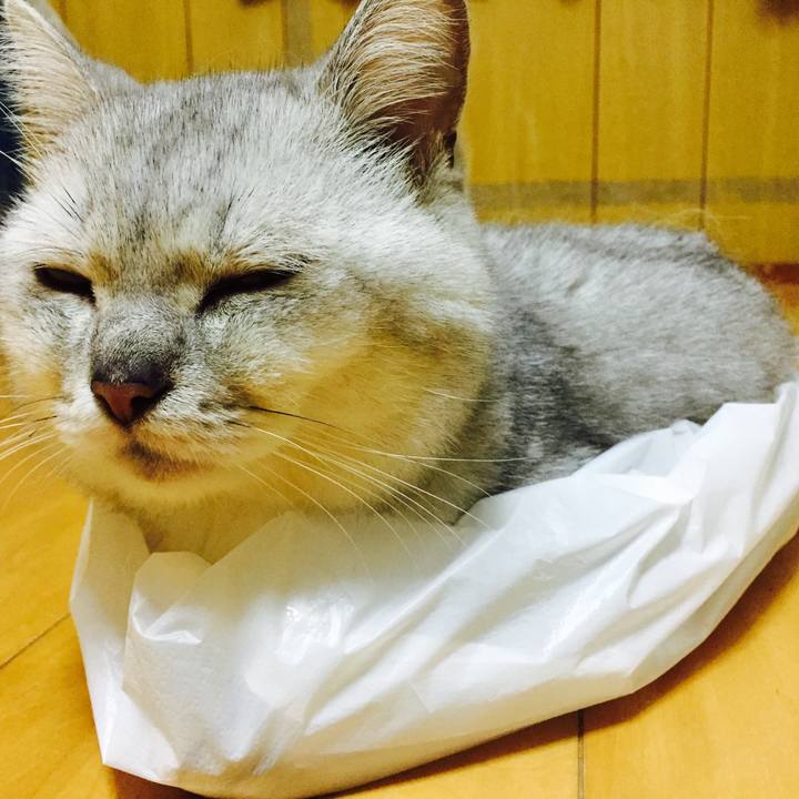 A7d9a510 dbd7 4772 98b7 7f3415d0600f