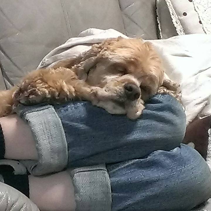 A7d9e417 59ef 402f b773 1343a3a2e621