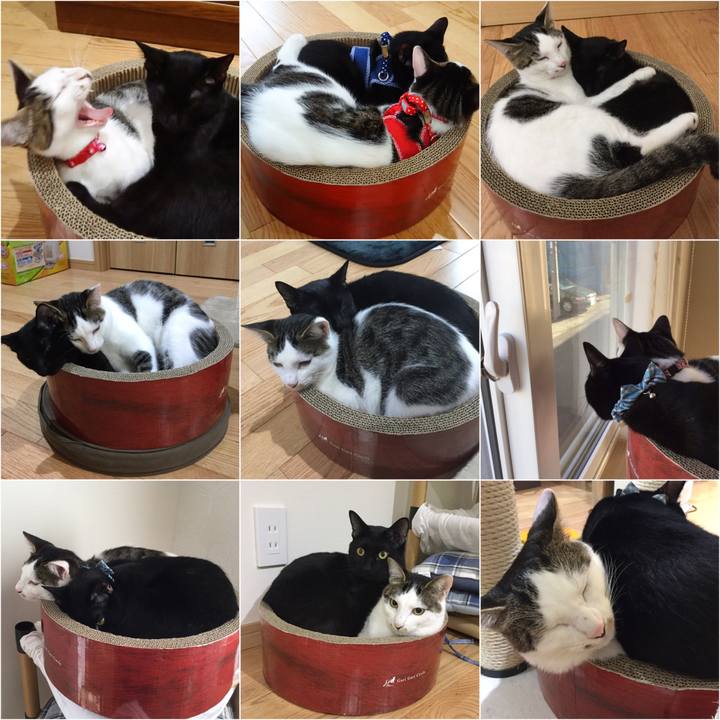 A7da51e1 e9fe 4768 9aa6 bd463443e187