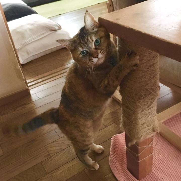 A7dabae2 fd8b 4c12 9498 516b5db4cc76