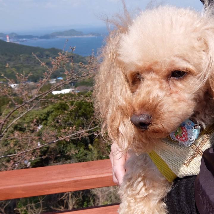 A7dad0ed 6d2c 40c0 b50c 5c59600e4d11