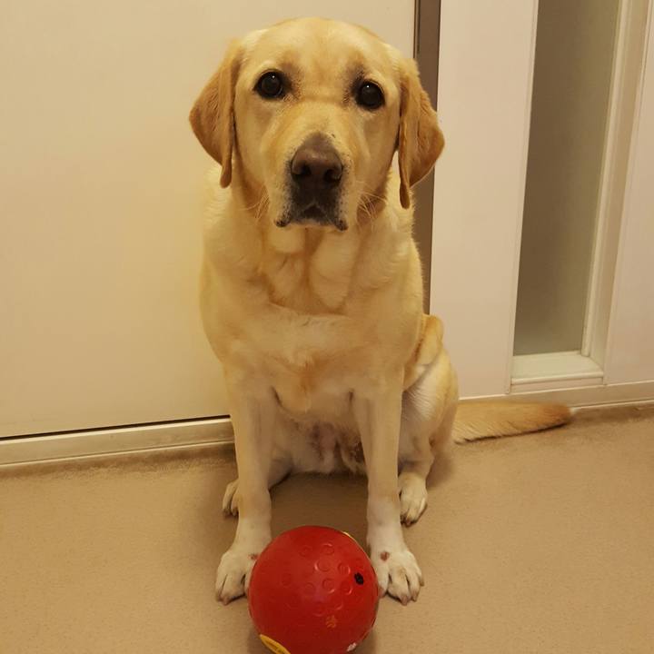 A7dae2e4 dd74 4d13 affe 942aa631da87