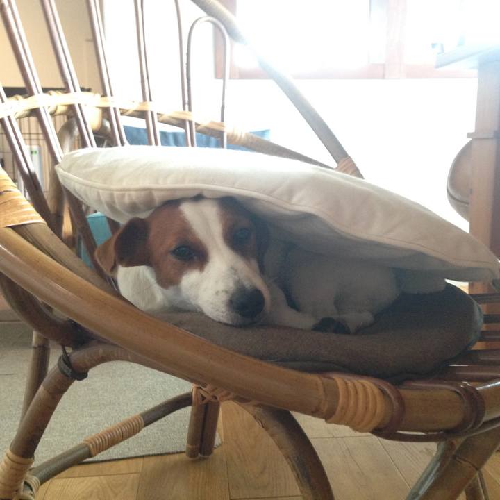 A7db5b8d f07a 4dd8 98ac 8959acb56670