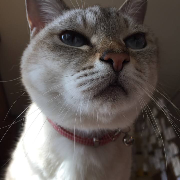 A7dbd127 d0c1 4b63 9076 78d6bdf0b70b