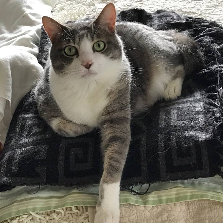 A7dbf35d 0f53 4142 a6f0 4f7dcd5ab0c2