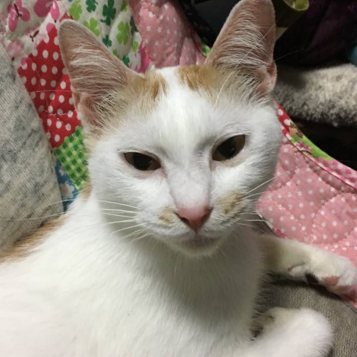 A7dbfa6b c45f 40c7 a84a be9491579d1b