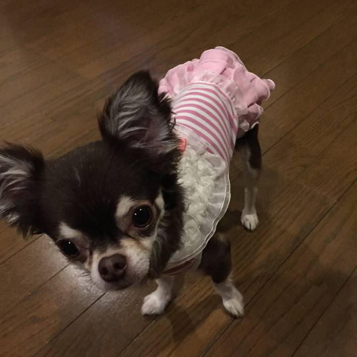 A7dcc4c5 ec51 47f3 adaf fbda3323f214