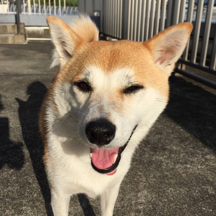 A7dd3c1e 2cf4 49a2 a3d1 30cf19010c4f