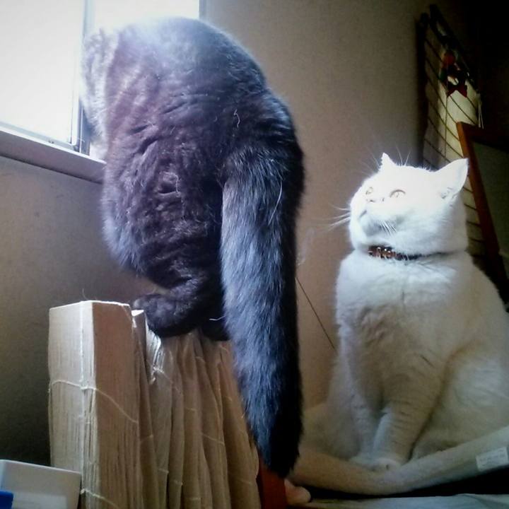 A7dd51c8 7392 4177 a626 e46d39bba123