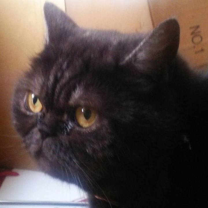 A7de0a75 208e 4563 a97f 993a407b31c3