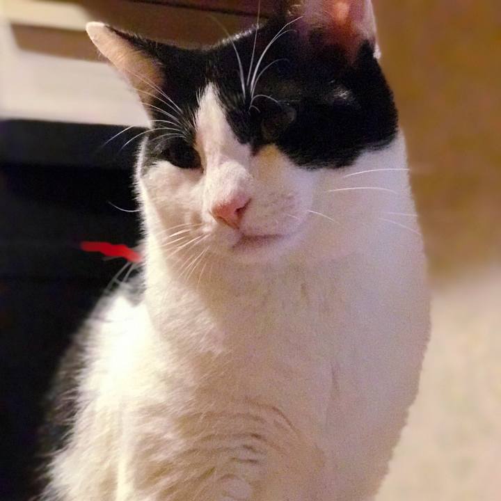 A7de13c8 91c2 4eec ae8f 7abfeb4a3c88