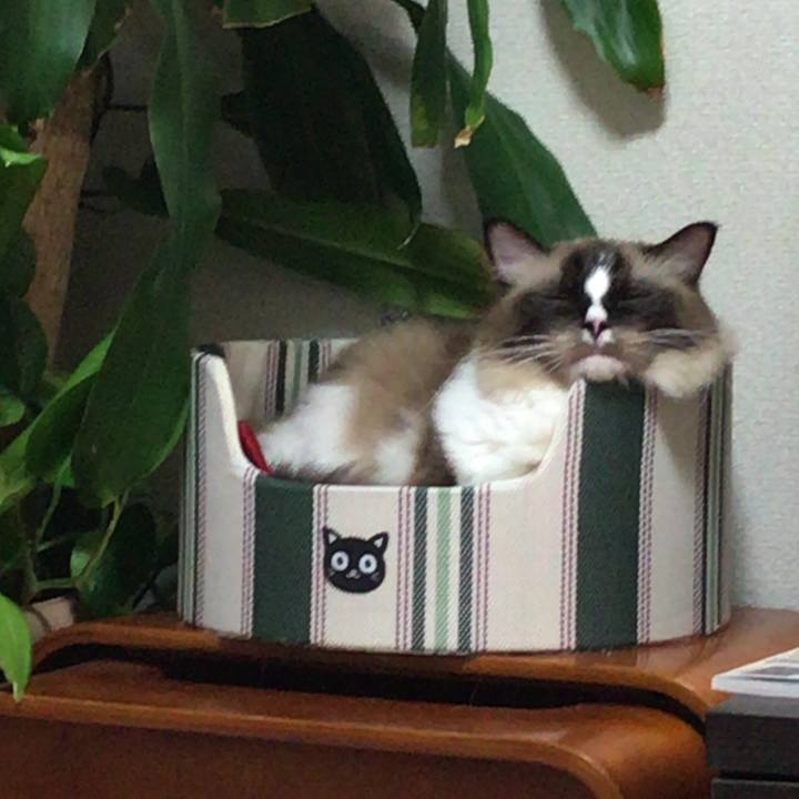 A7de4cf2 dc54 446e 9766 224e27c21aa1