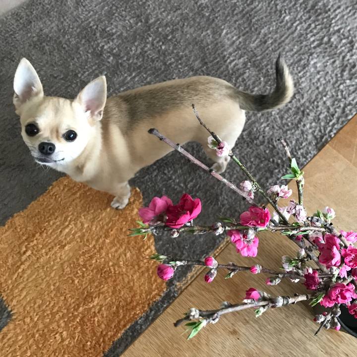 A7deba05 c4cb 4bfe 9a94 8024623dbb1e