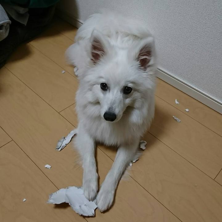 A7df167c 053d 47dd bdae 559a717451ba