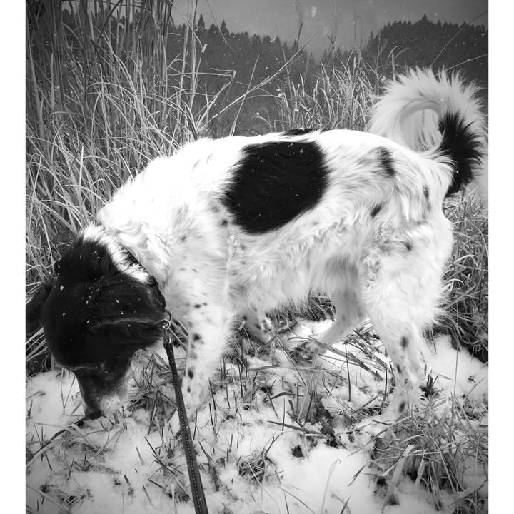 A7dfb589 8cff 4341 b50c 8f8a34dc5a64