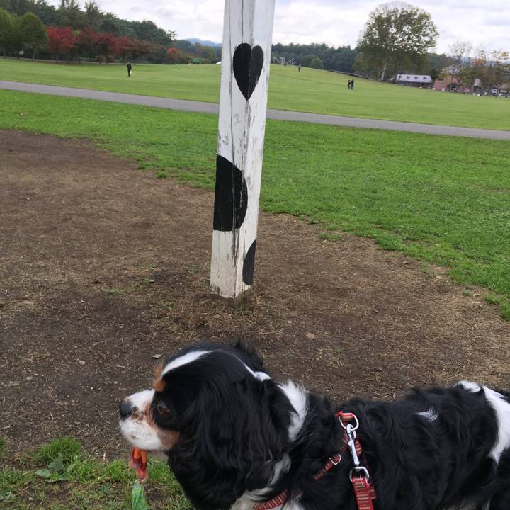 A7e0f422 80a6 4c7a a670 ad4b12887637