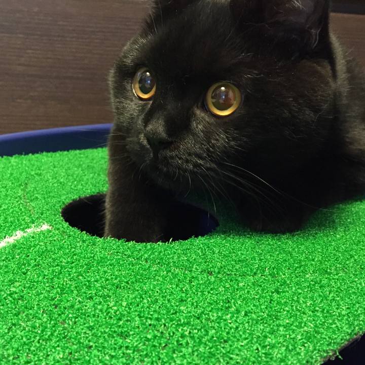 A7e12930 f84d 4d7c 8a1d 77dc0bfb96a3