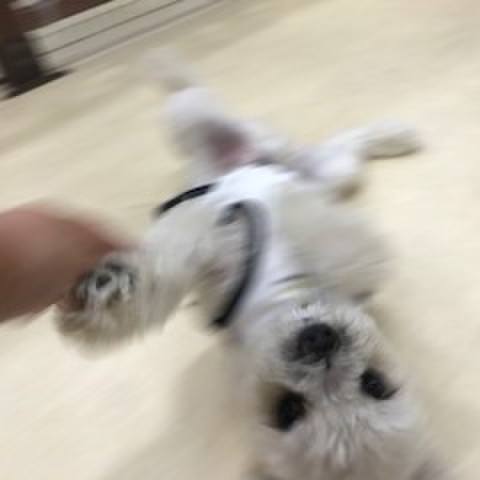 A7e14e40 a192 4f49 a972 63278344718f